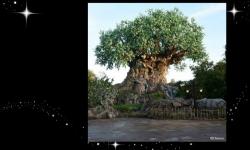 Tree of Life at Disney’s Animal Kingdom Grows New Roots