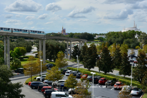 Park View From The Sky Bridge