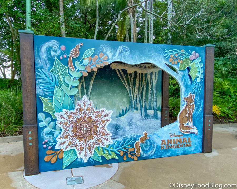 Winter Delights At Disney's Animal Kingdom