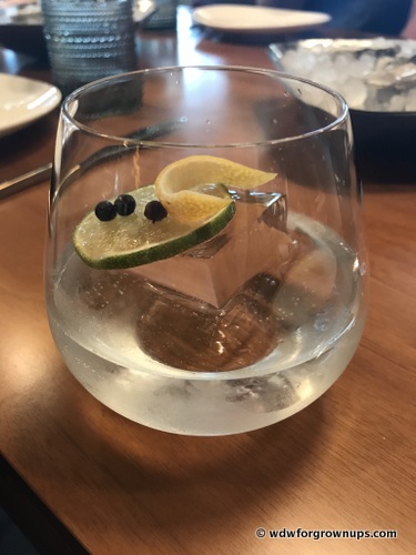 An Elegant Gin and Tonic