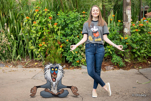 Meditate With Rafiki