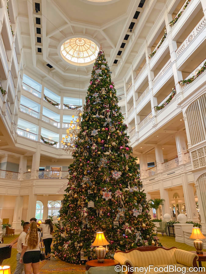 A Bright And Beautiful Christmas Tree